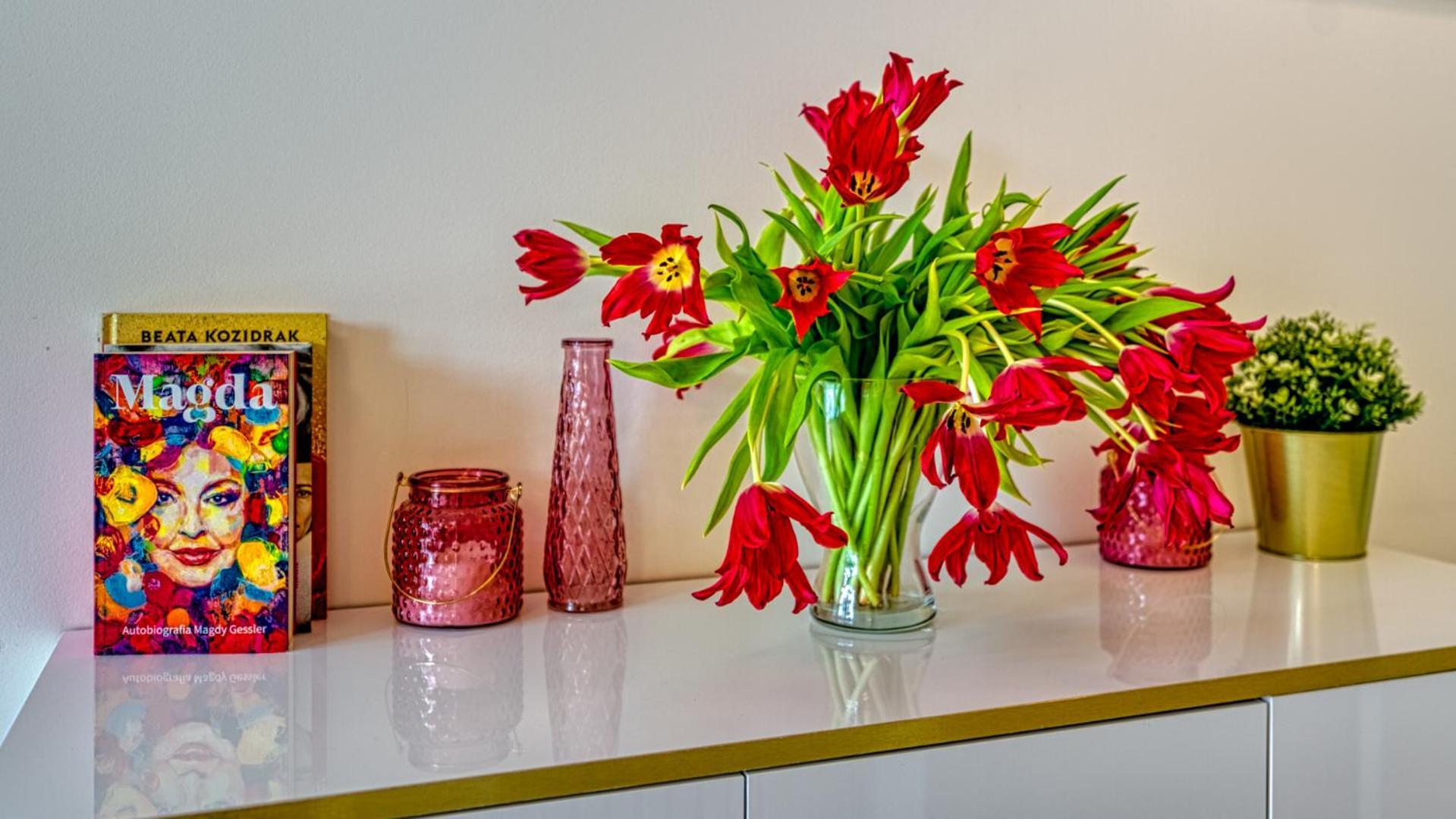 Luxury Penthouse Z Sauna I Klimatyzacja - 5d Apartment Swieradow-Zdroj